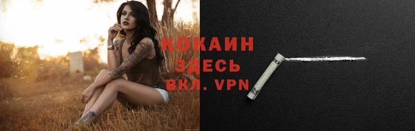 ешки Карпинск